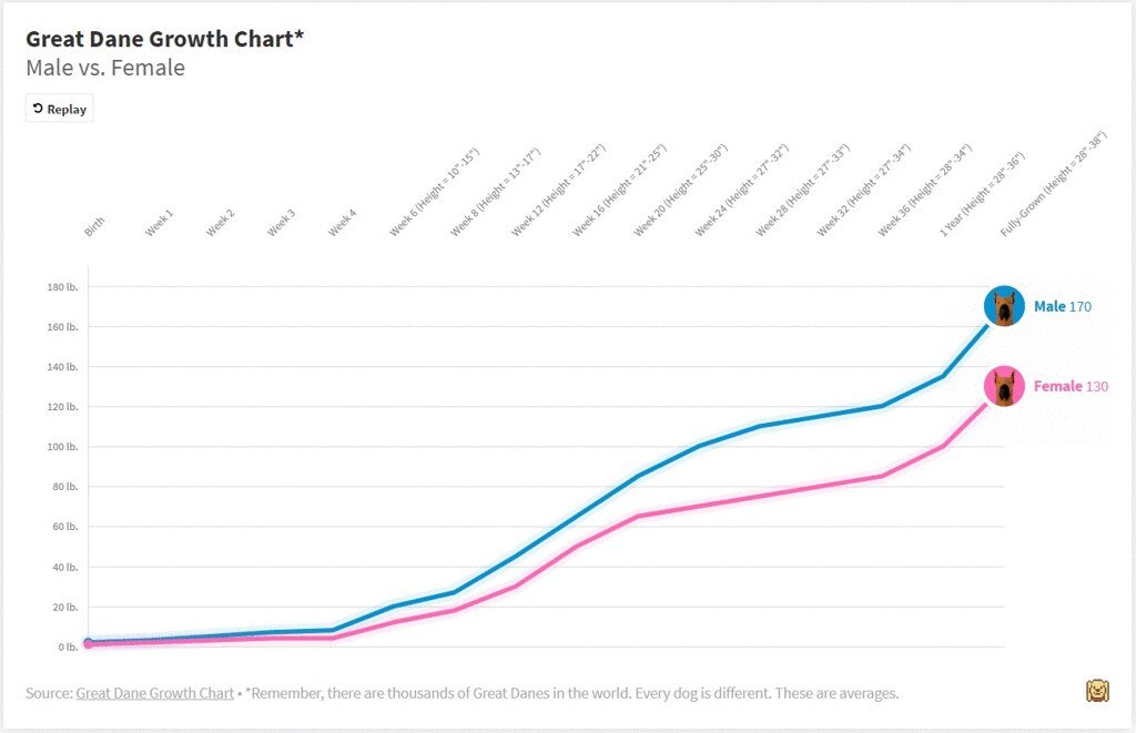 height weight chart FOR female