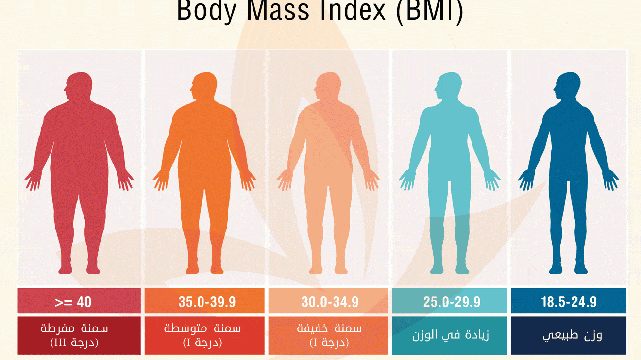 BMI calculator in kg